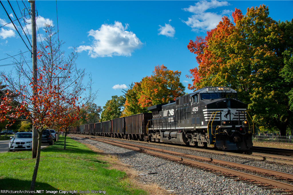 NS 4829